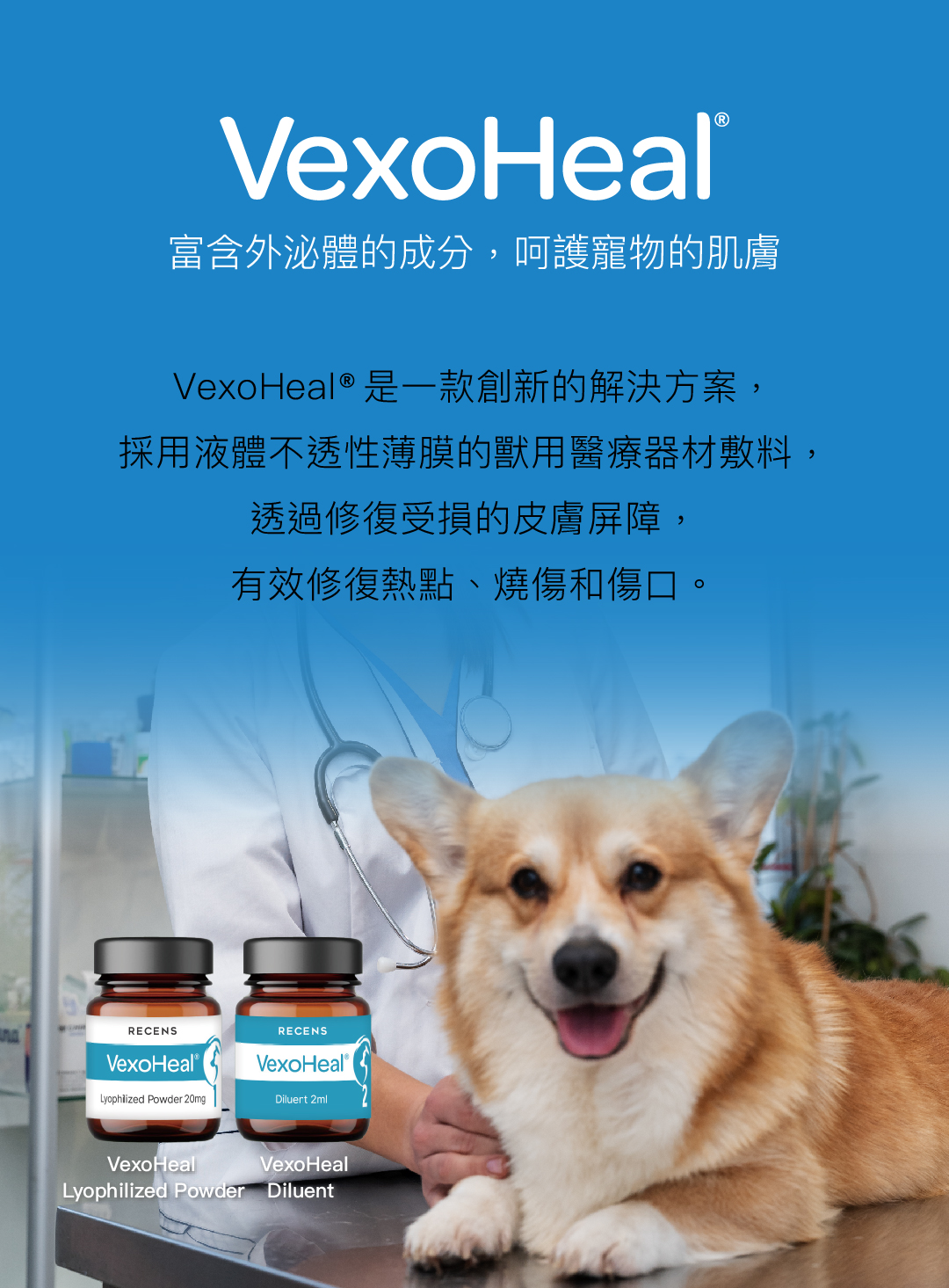 VetEase-Banner-Mobile